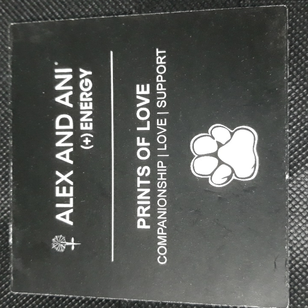 Alex And Ani charm bracelet - Picture 4 of 5